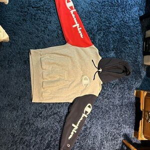 Champion Reverse Weave Colorblock Hoodie